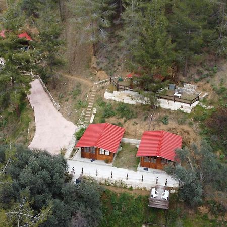 Bosco Paradiso Limassol Exterior foto